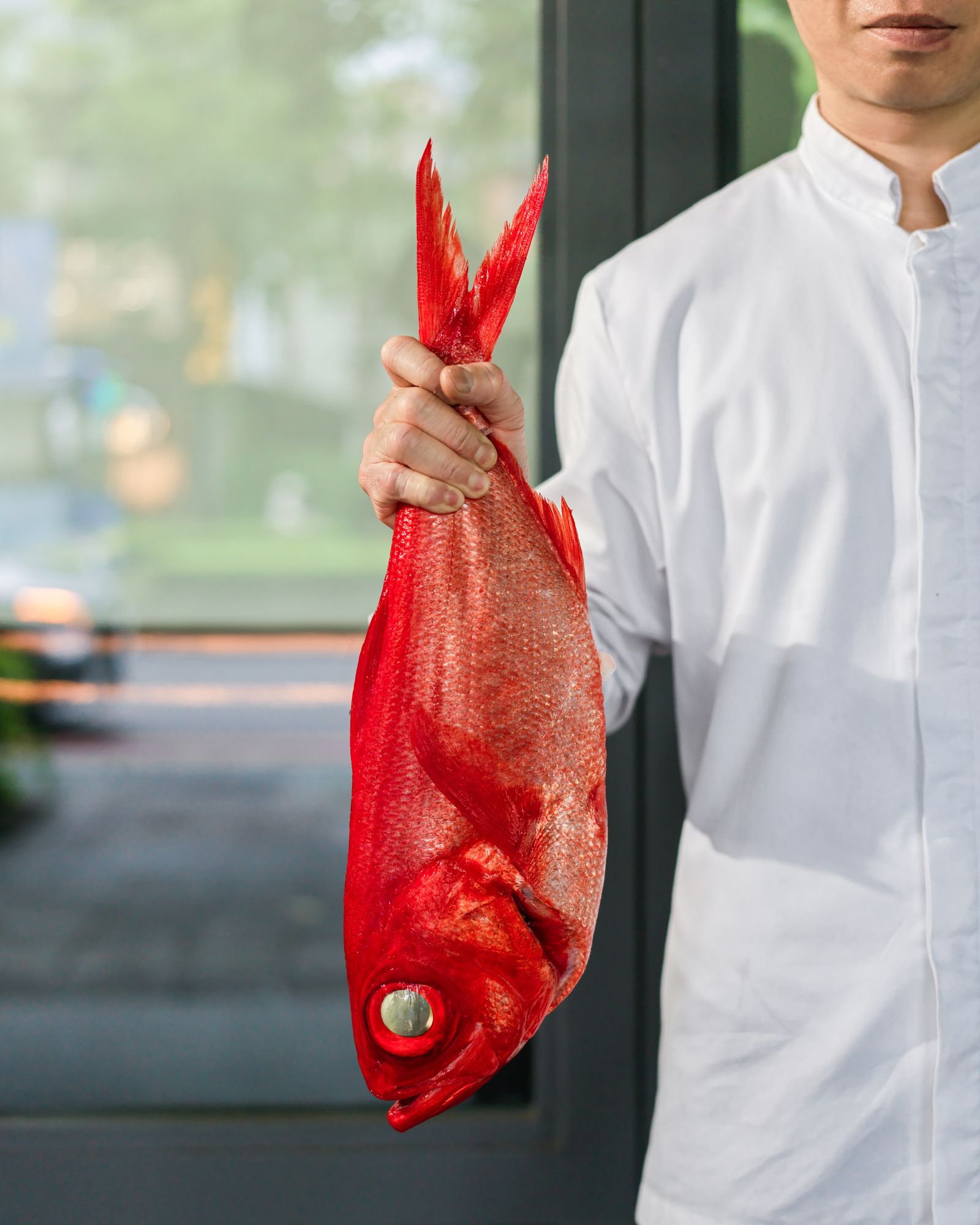 Spring–Summer 2026: Field Notes of Flavour